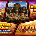 buffalo themed slots at Yay Casino
