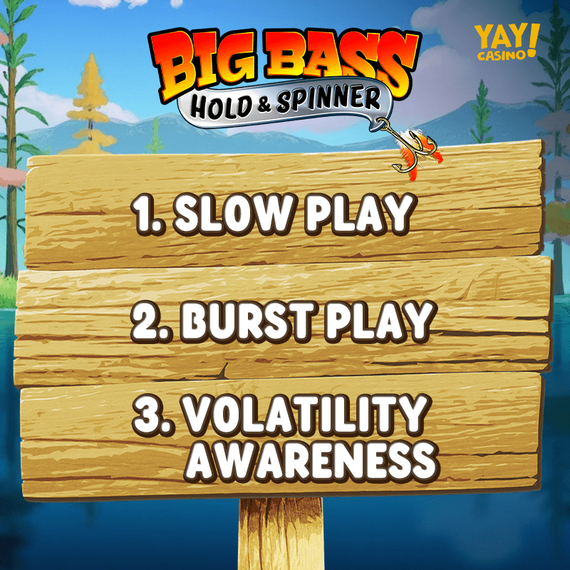 what is big bas hold and spinner about